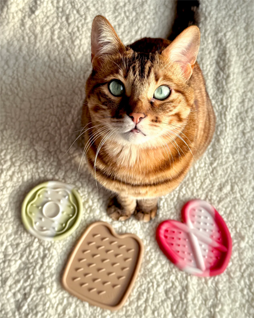 브랜드 라인업업 이미지